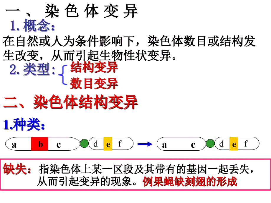 生物52染色体变异课件1新人教版必修2_第2页