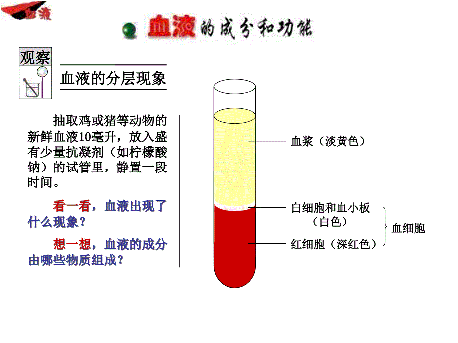 七年级生物血液3_第3页