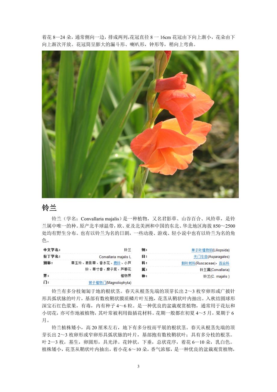 几种漂亮的花卉植物_第3页