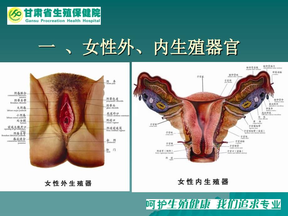 培训资料社区讲座课件_第4页