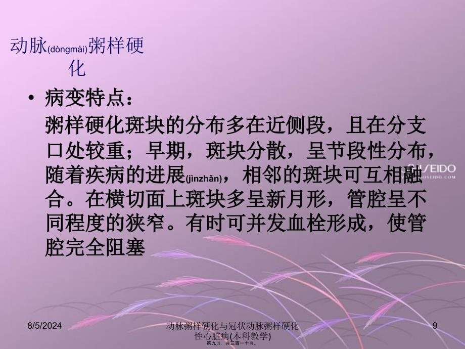 动脉粥样硬化与冠状动脉粥样硬化性心脏病(本科教学)课件_第5页