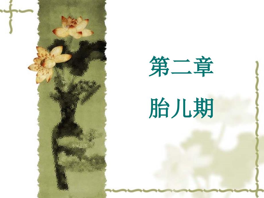 《人体发育学》胎儿期(胎儿发育的影响因素)_第1页