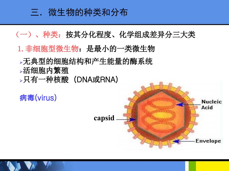 《医学微生物学》教学课件：绪论第一章细菌的形态与结构_第4页