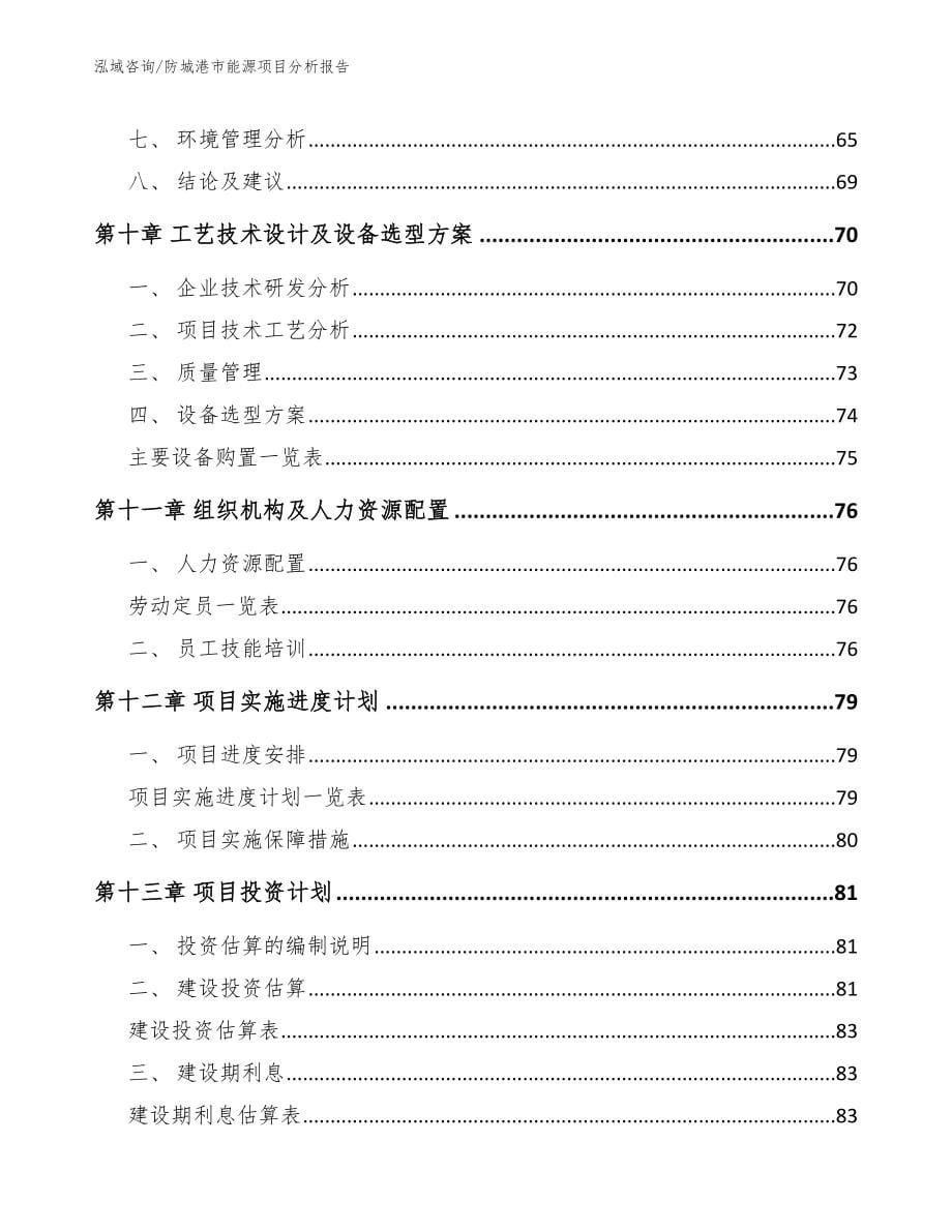 防城港市能源项目分析报告_模板参考_第5页