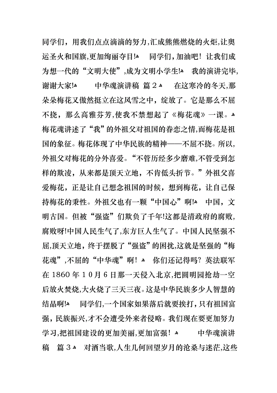 中华魂演讲稿范文汇编九篇_第4页