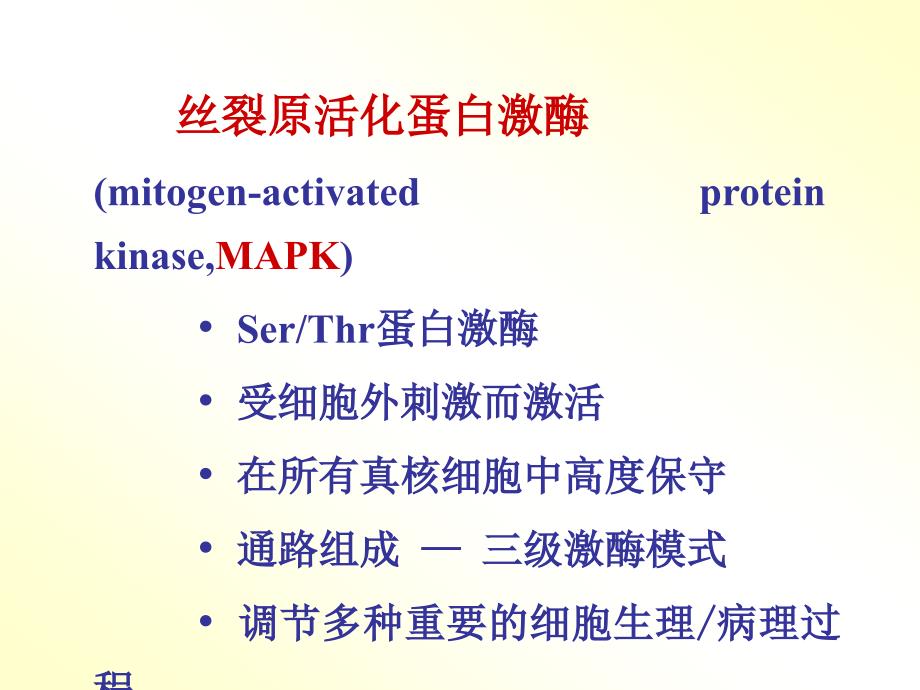 丝裂原活化蛋白激酶_第2页