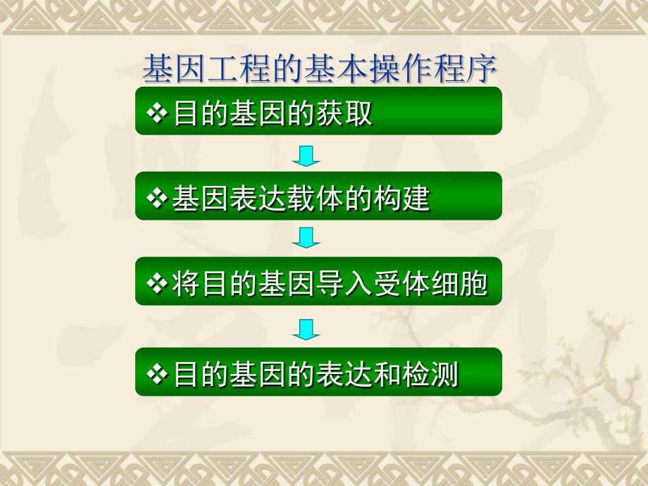 12基因工程的基本操作程序_第2页