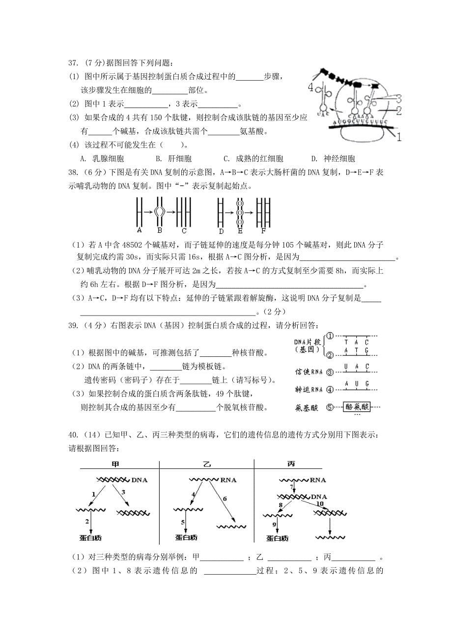 《遗传与进化》第一次评价测试（教育精品）_第5页