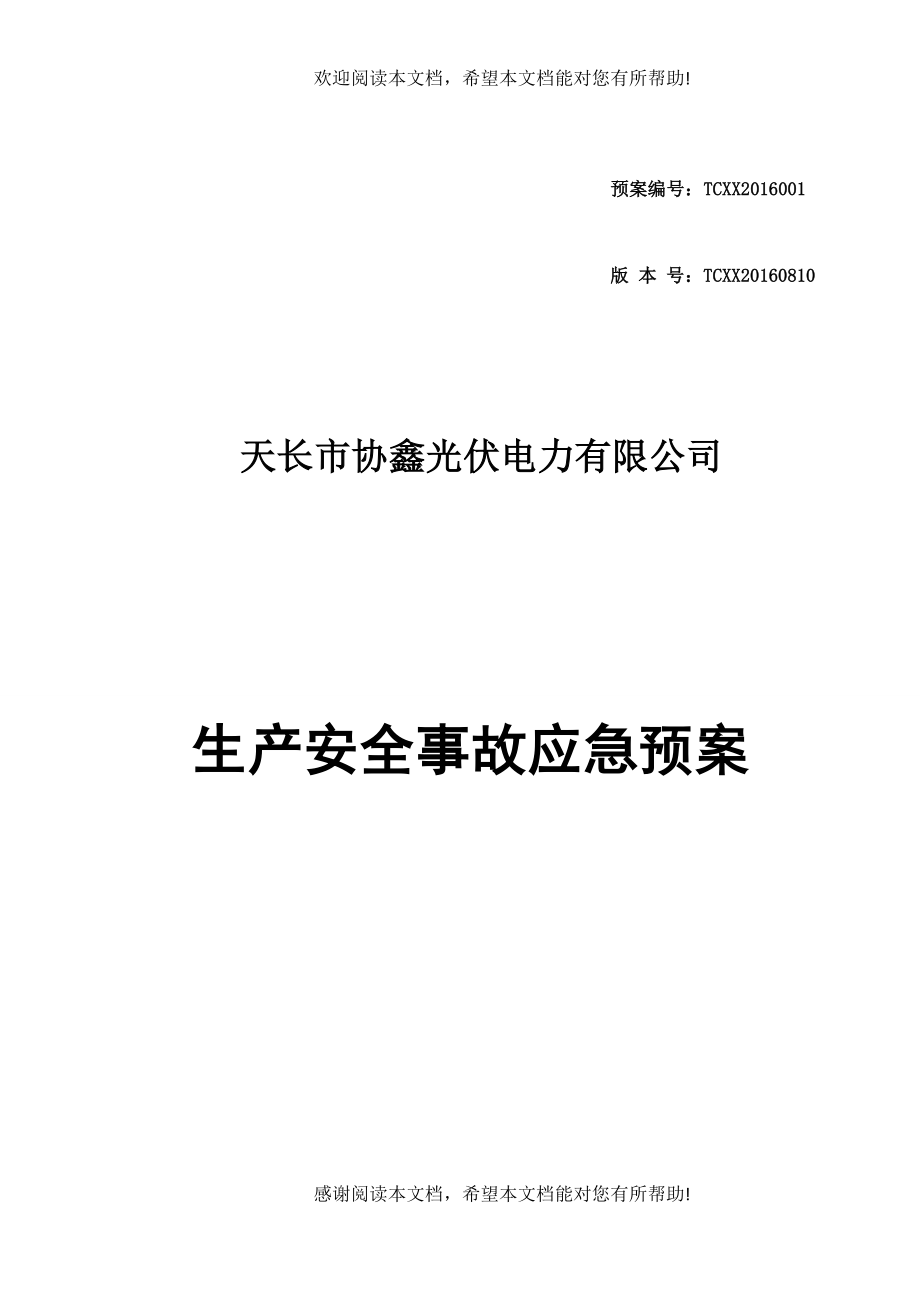 天长电站生产事故应急预案_第1页