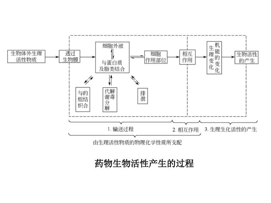 第六章农药构效关系_第5页