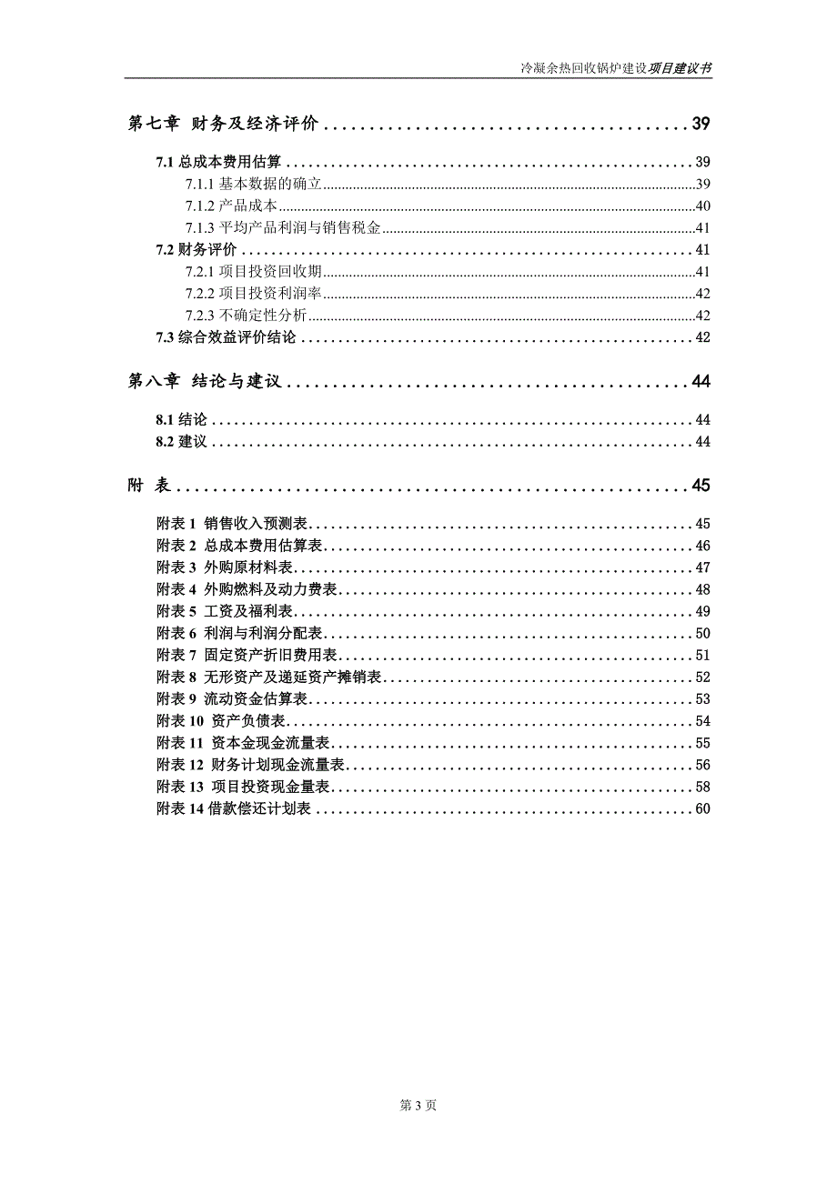 冷凝余热回收锅炉项目建议书写作参考范本_第4页