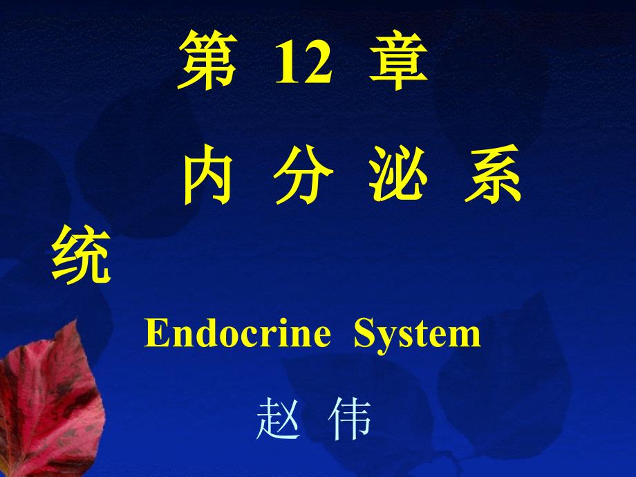 内分泌系统--组织学与胚胎学_第1页
