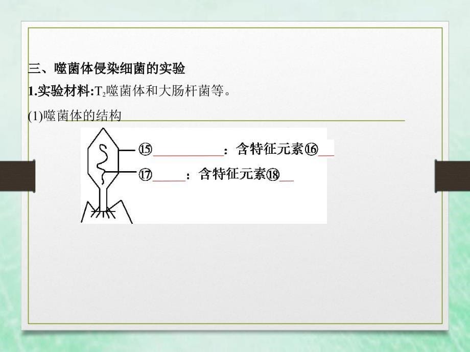 2020届高中生物一轮复习浙科版遗传的分子基础课件_第5页