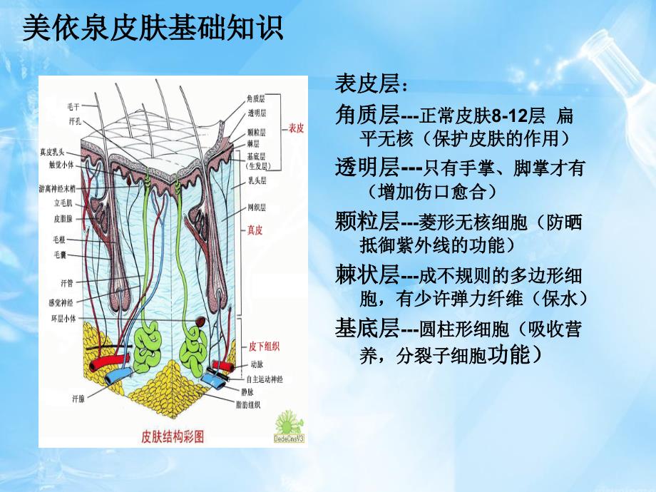 “兰蔻美依泉”产品讲解_第4页