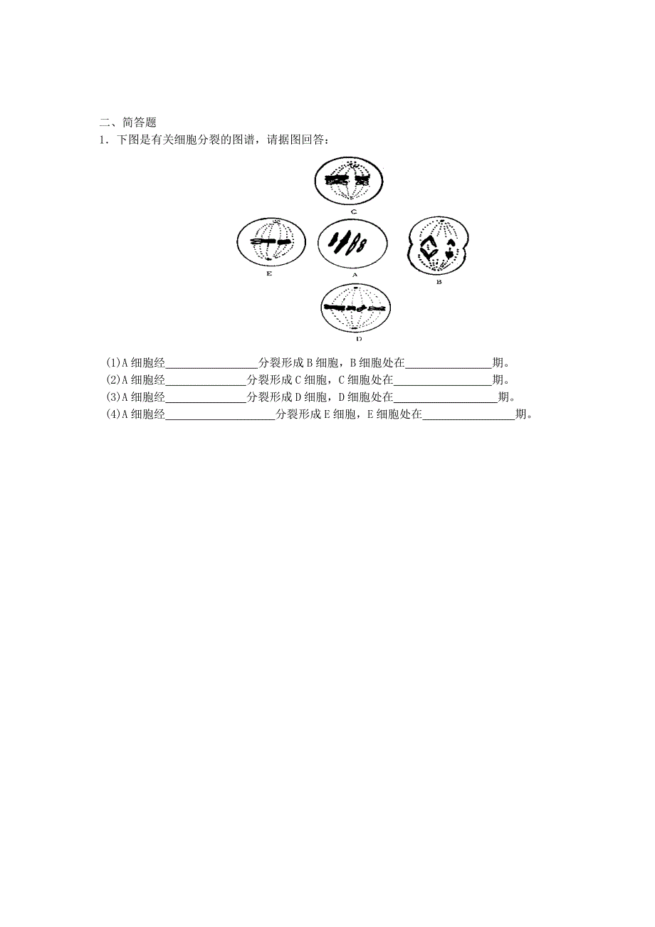 减数和受精作用复习.doc_第3页