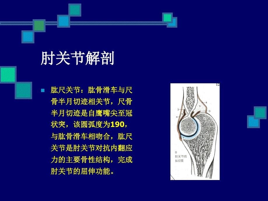 肘关节康复PPT课件_第5页