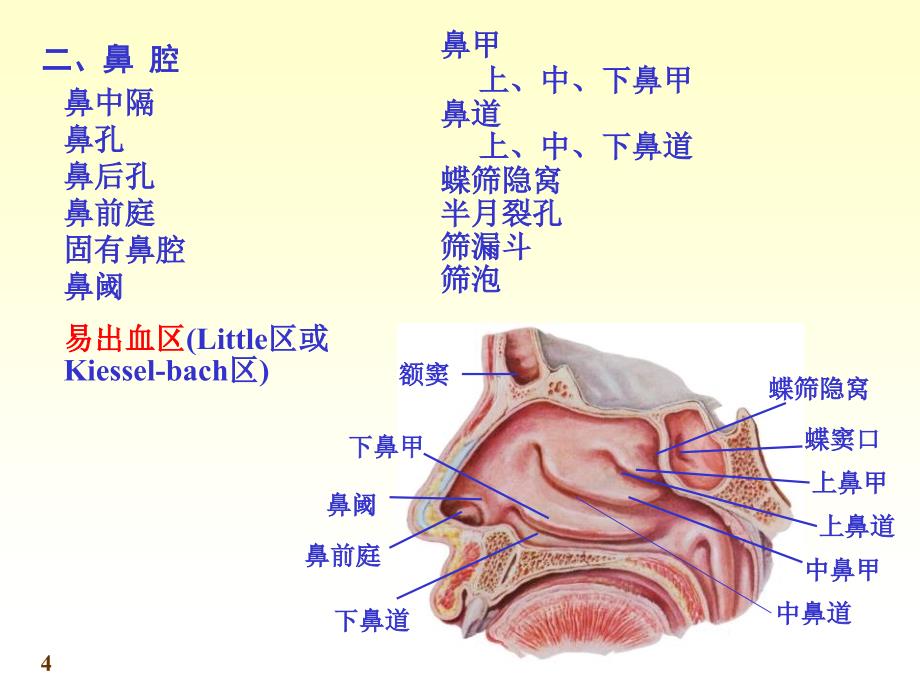 呼吸系统实验课_第4页