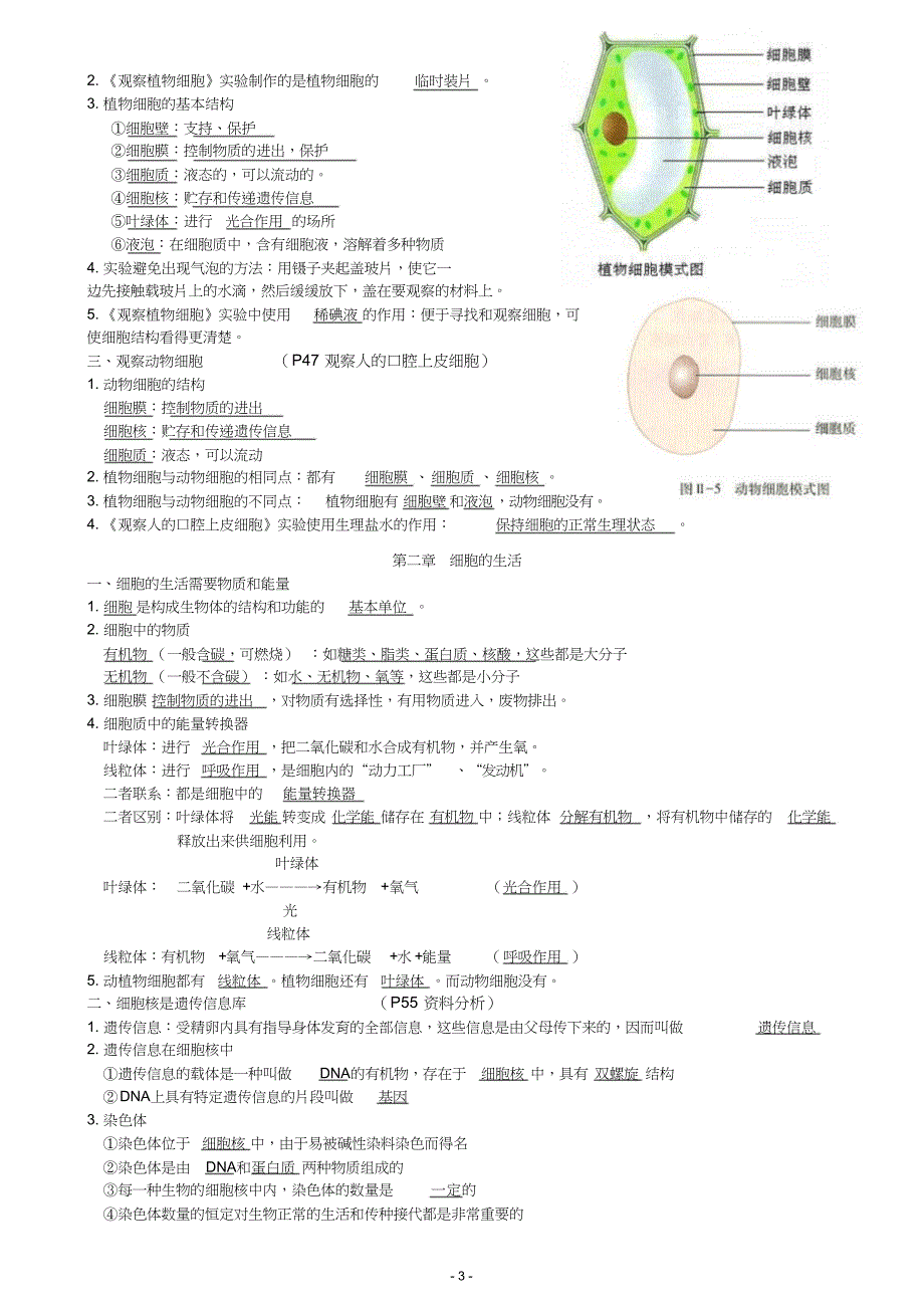 七年级上册生物复习资料整理_第3页