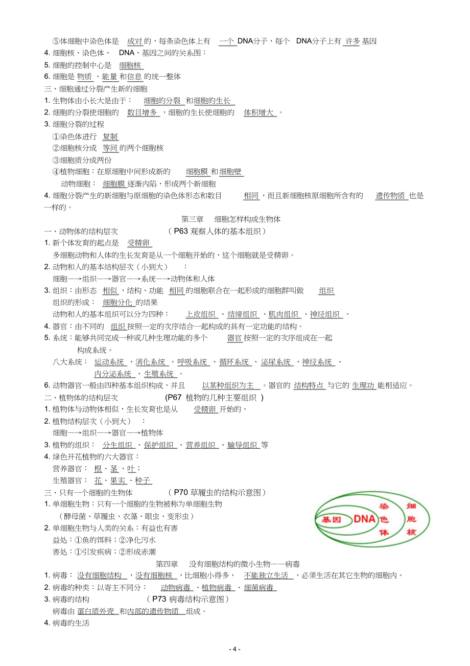 七年级上册生物复习资料整理_第4页