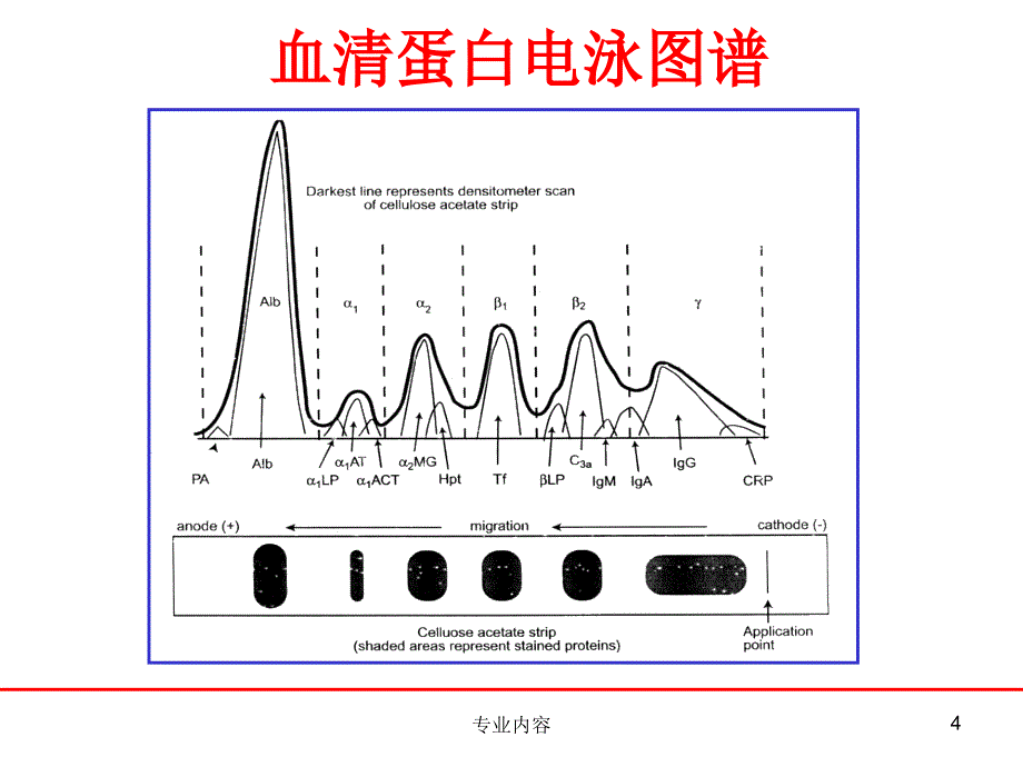 兽医生化检验与病例分析荟萃材料_第4页