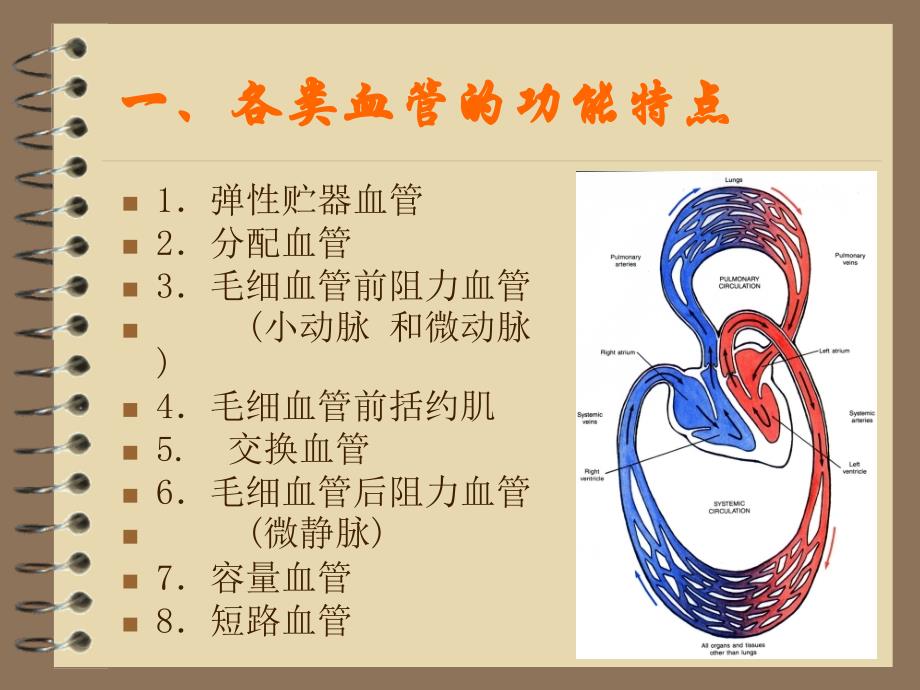 第四章循环系统血管生理_第1页