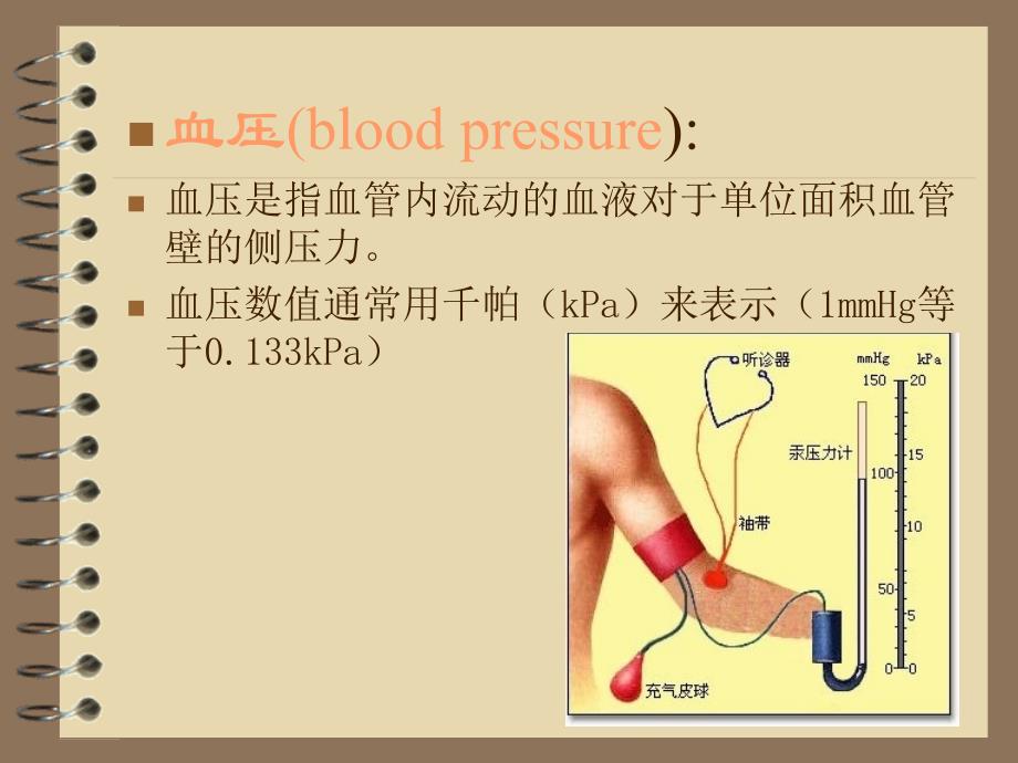 第四章循环系统血管生理_第4页