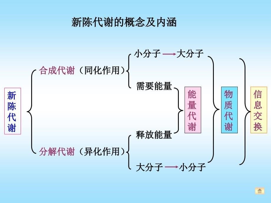 《生物化学》课件-代谢总论与生物能学_第5页