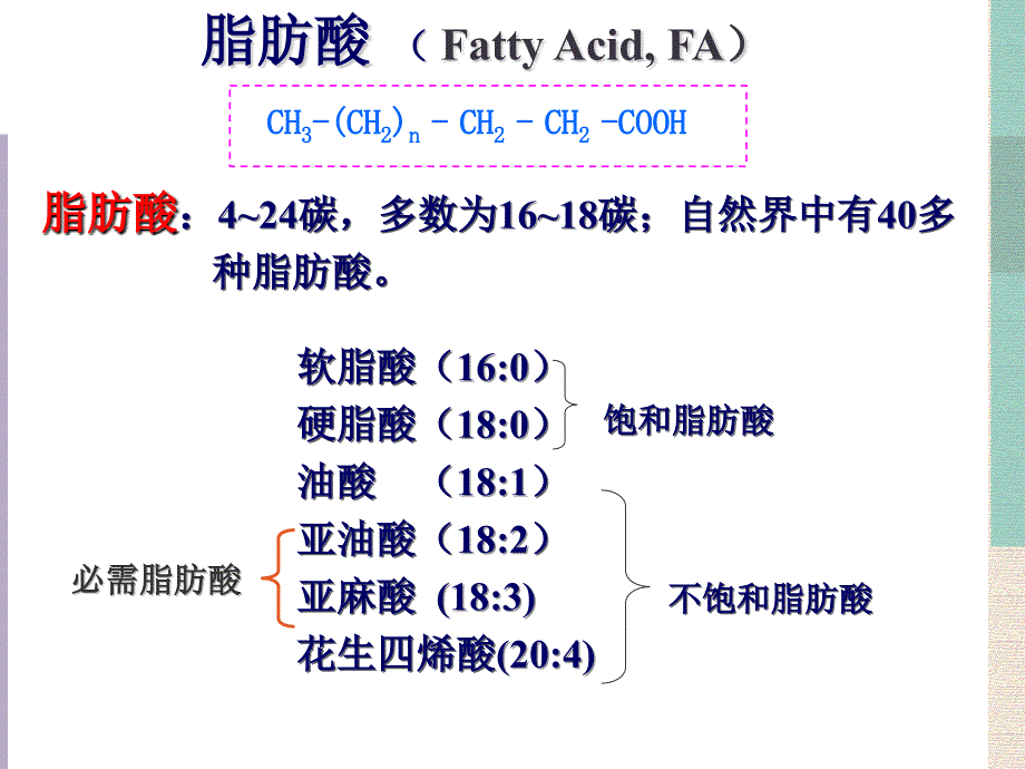 生物化学：第六章 脂类代谢_第4页