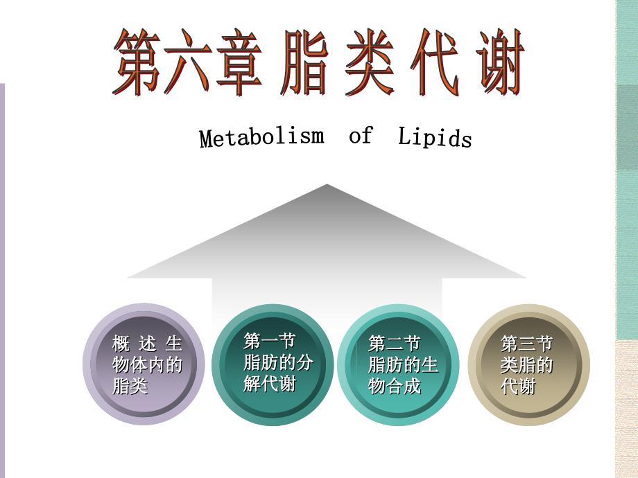生物化学：第六章 脂类代谢