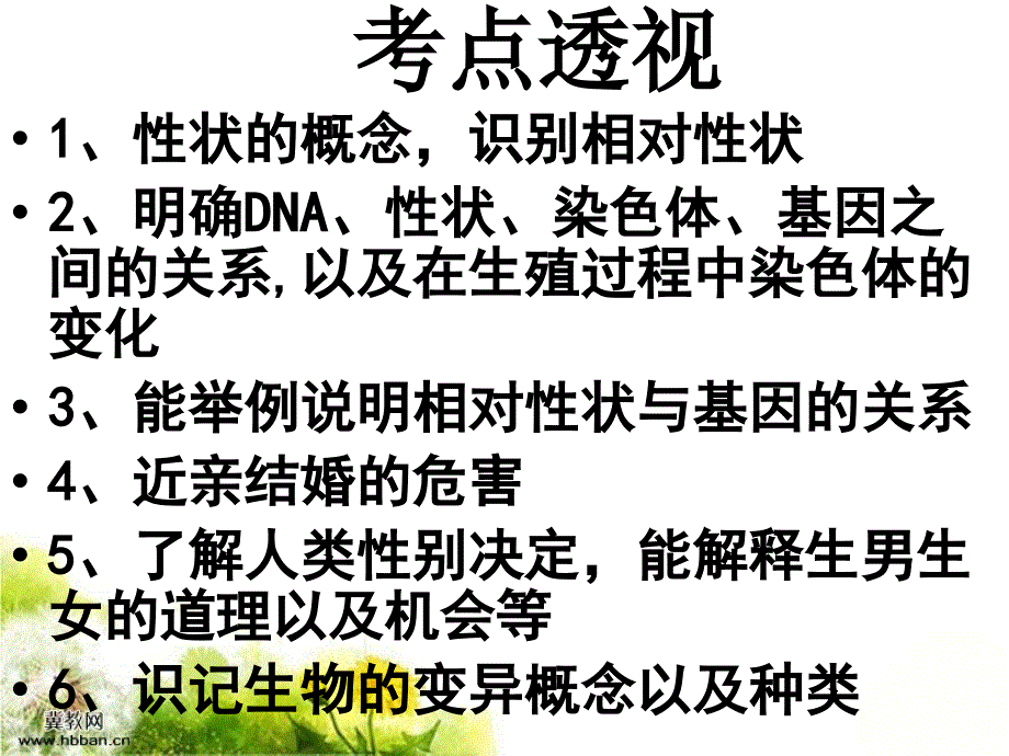 第二章生物的遗传和变异复习_第4页