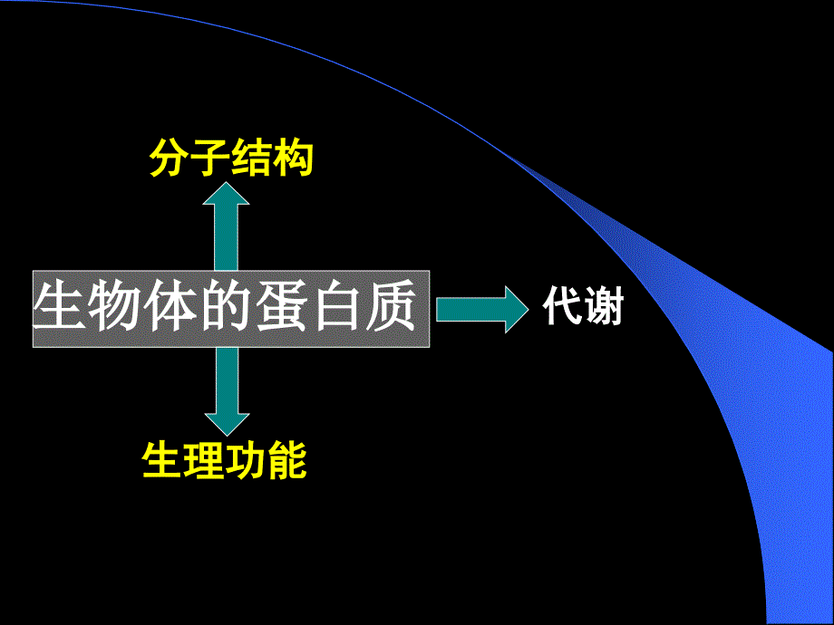 《蛋白质专题定》PPT课件_第3页