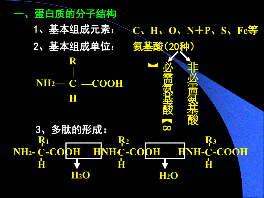 《蛋白质专题定》PPT课件_第4页