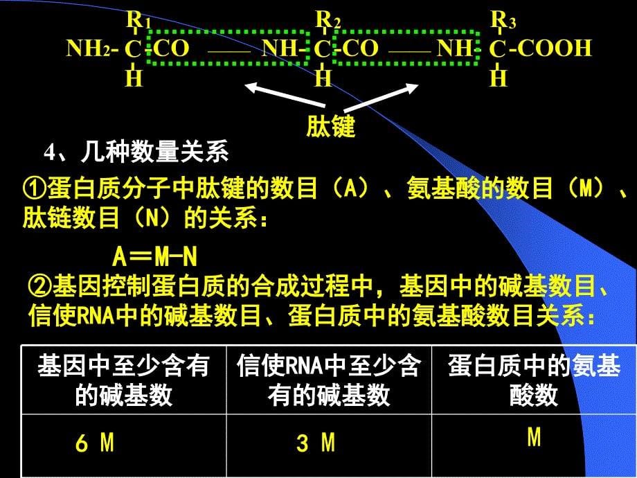 《蛋白质专题定》PPT课件_第5页