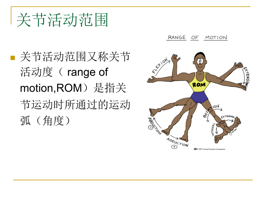 关节活动度的测量文档资料_第1页