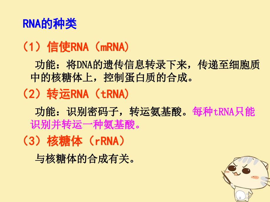 山东省沂水县高中生物 第四章 基因的表达 4.1 基因指导蛋白质的合成课件 新人教版必修2_第2页