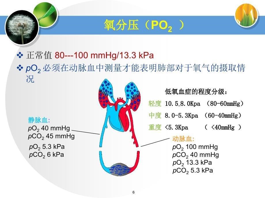 血气分析参数解读ppt课件_第5页