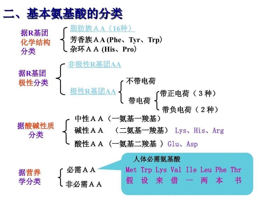 生物化学要点_第5页