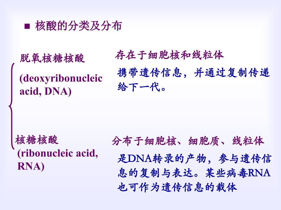 生物化学与分子生物学：第2章核酸的结构与功能_第3页