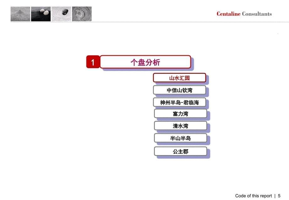 海南东线海岸项目楼盘调研分享报告_第5页