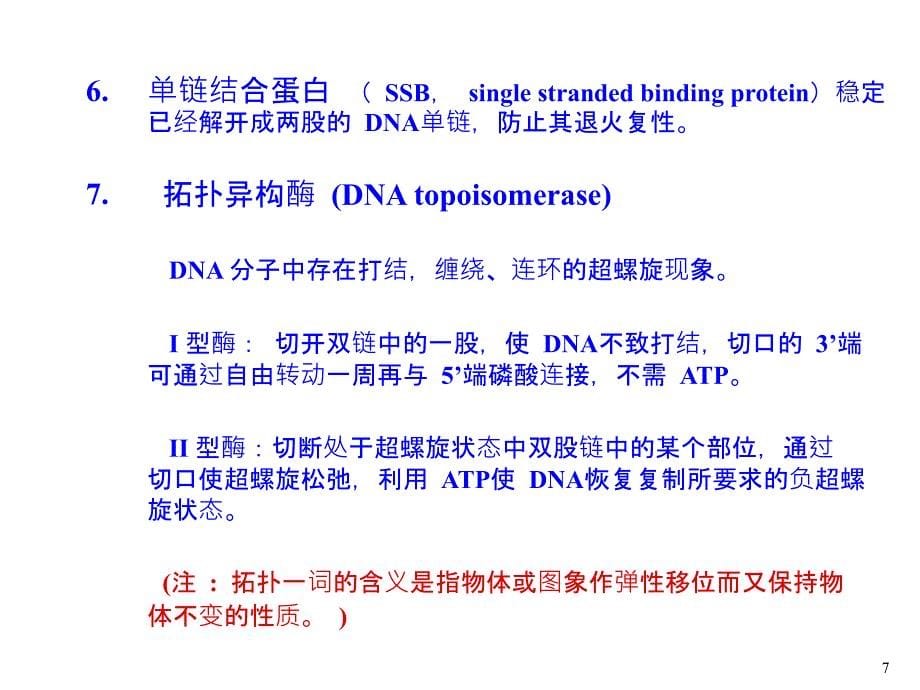 11DNA的生物合成复制.ppt课件_第5页