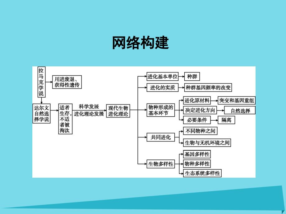 高中生物 第7章 现代生物进化理论章末整合课件 新人教版必修2_第3页