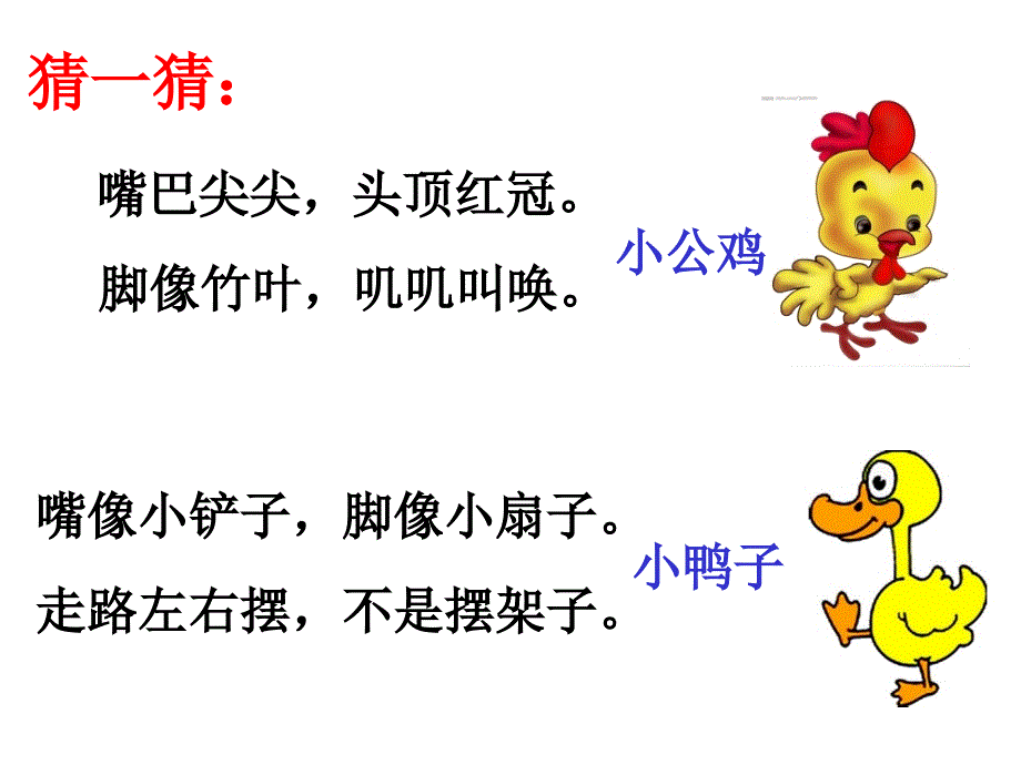 小公鸡和小鸭子公开课优秀ppt课件_第1页