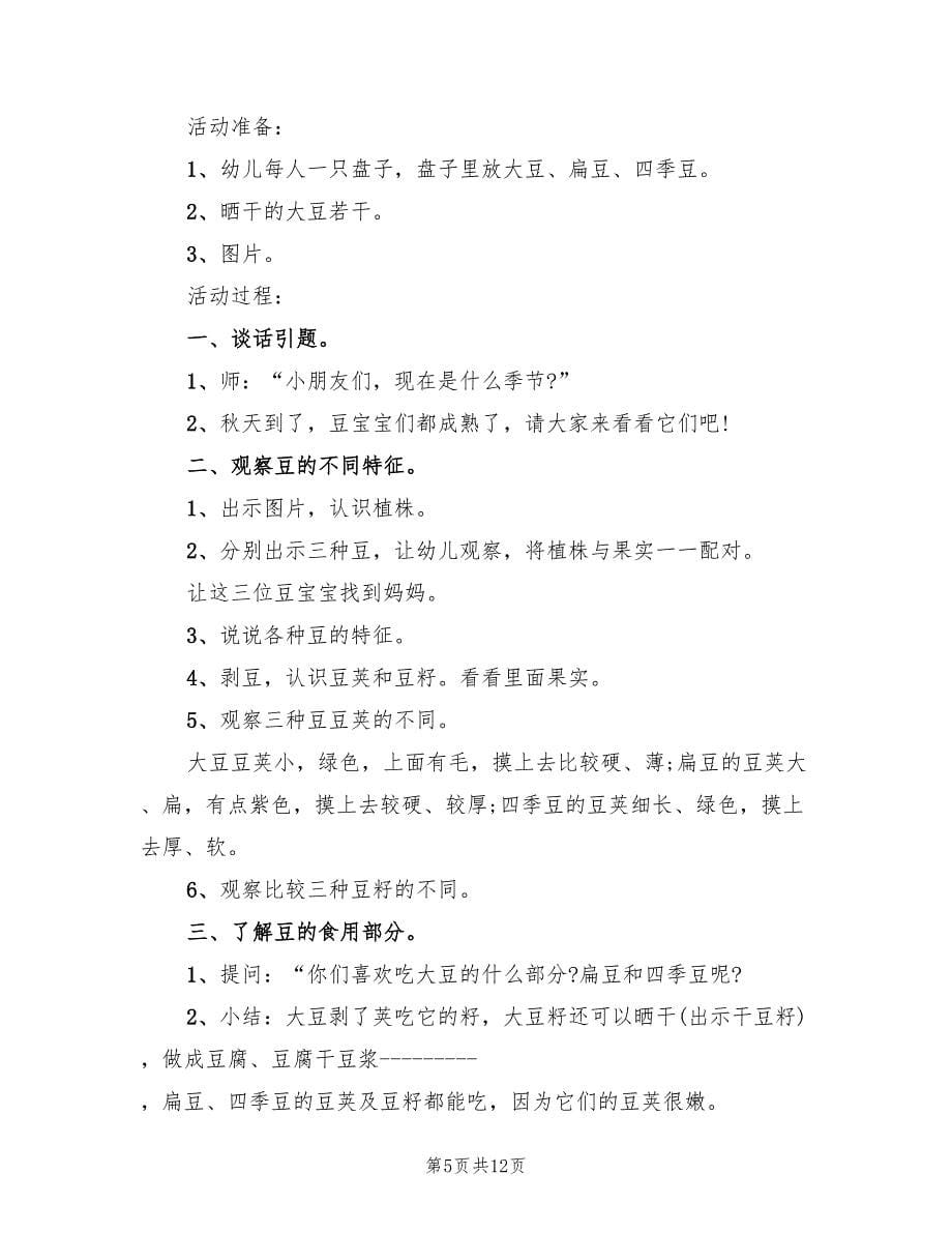 幼儿园大班教案的设计方案实用教案范文（四篇）.doc_第5页