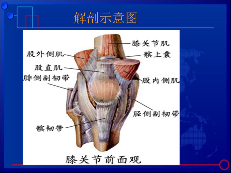 膝关节骨性关节炎诊治ppt课件_第3页