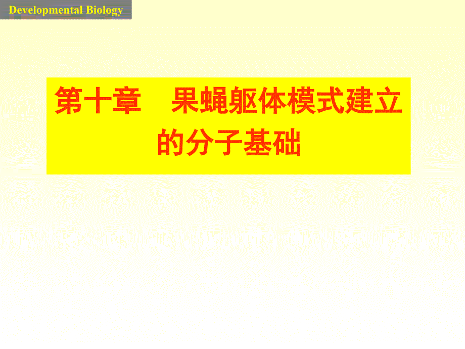 果蝇躯体模式建立的机制课件_第1页