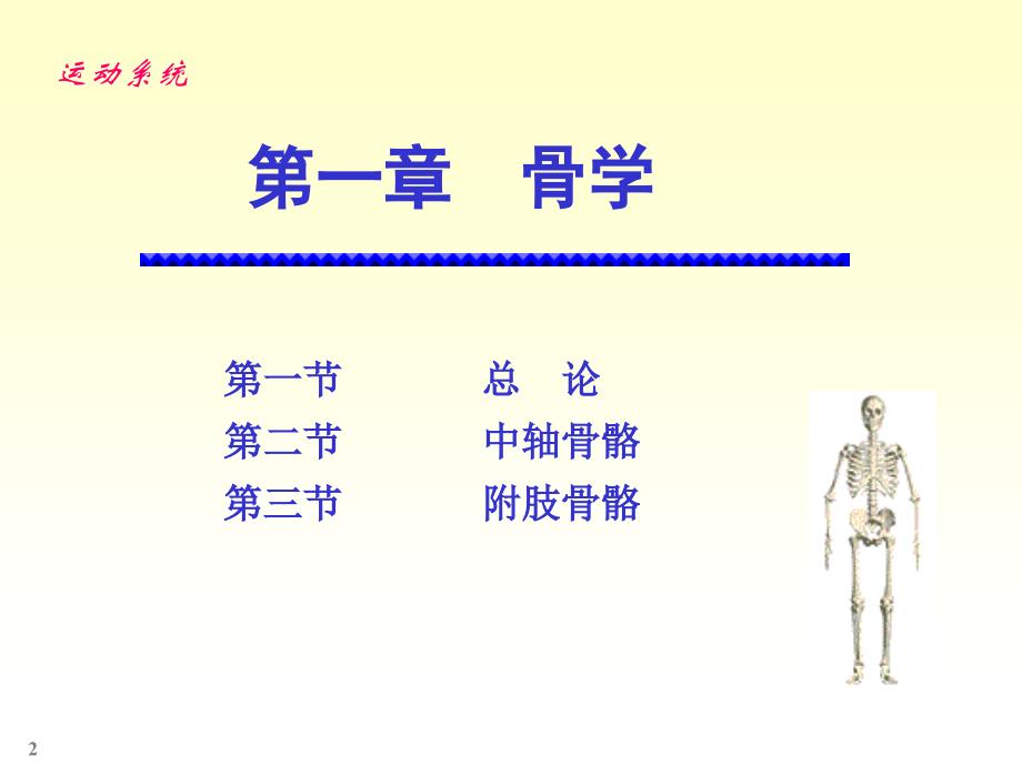 人体解剖实验说课讲解_第2页