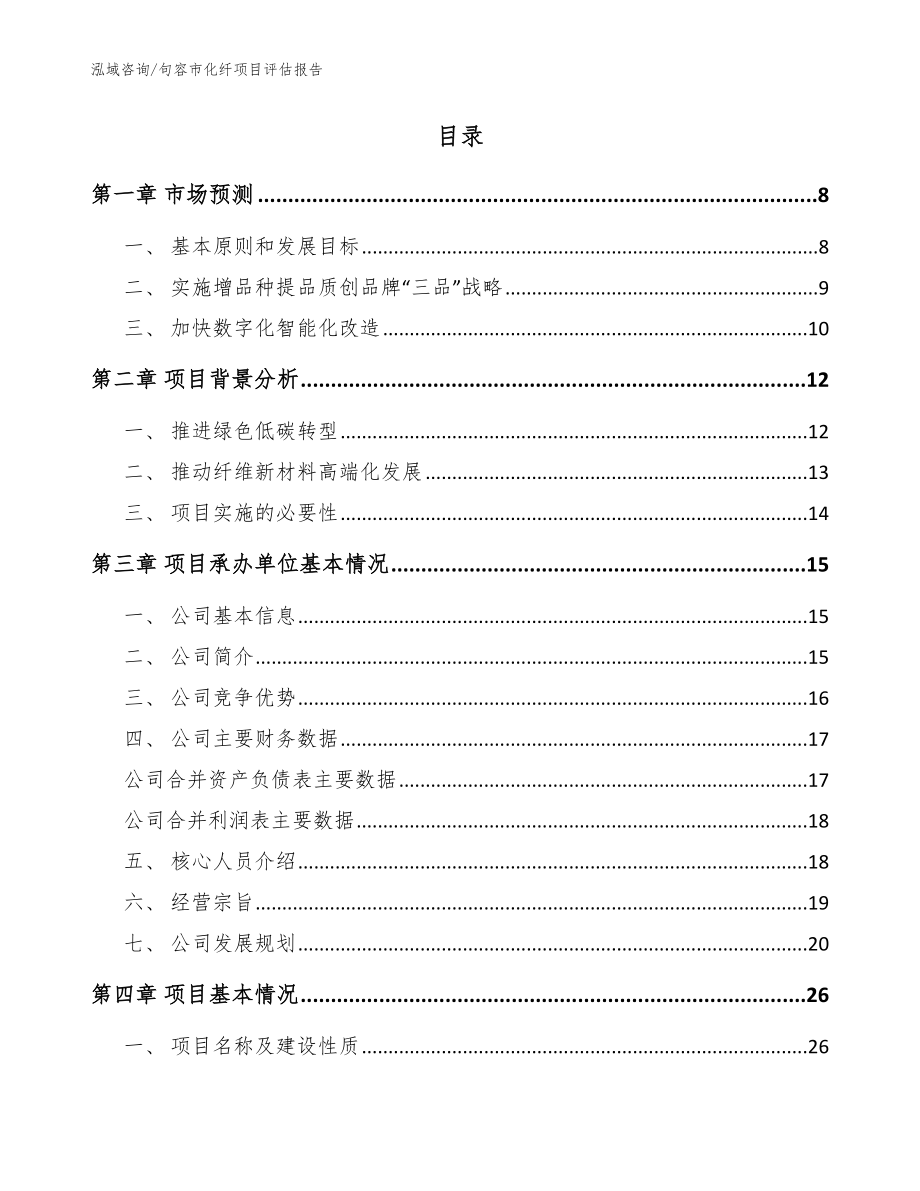 句容市化纤项目评估报告（范文参考）_第2页