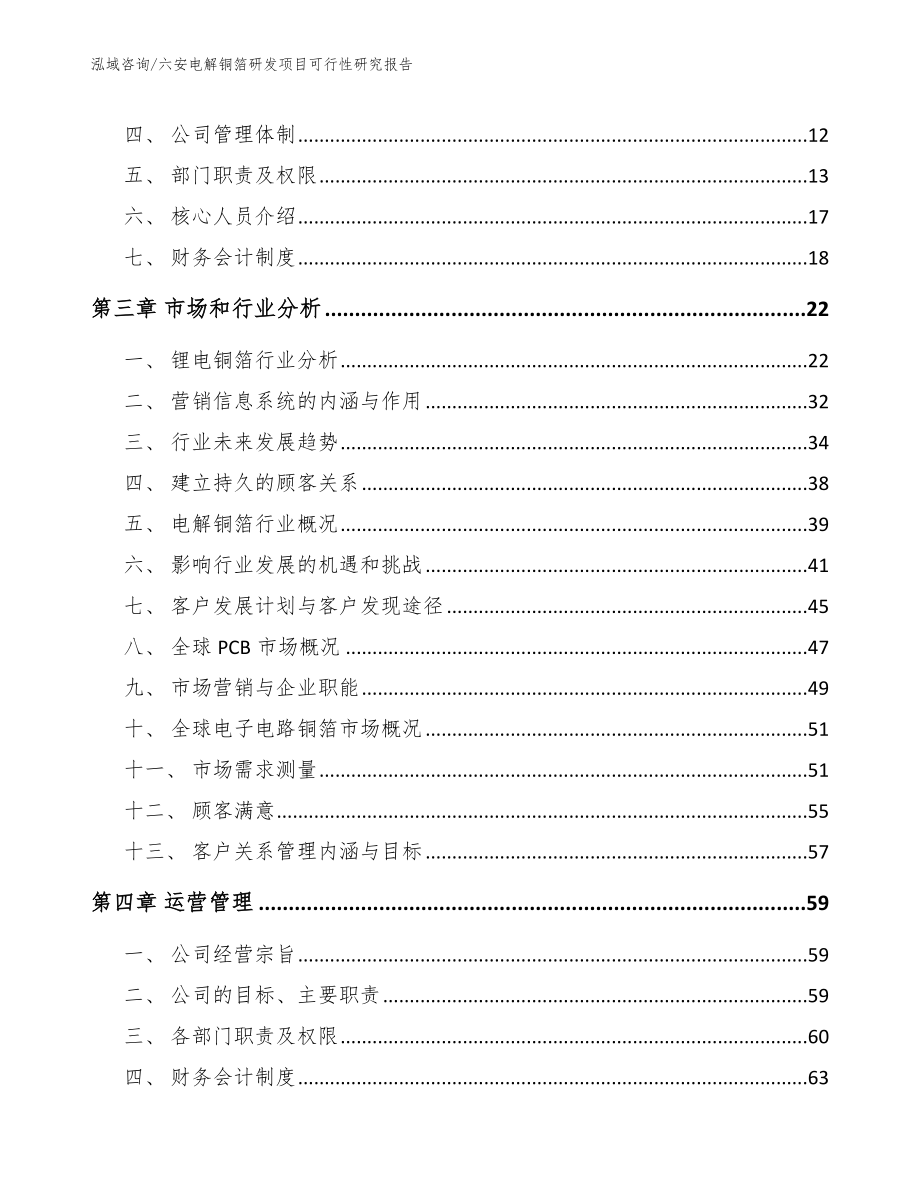 六安电解铜箔研发项目可行性研究报告（模板范本）_第3页