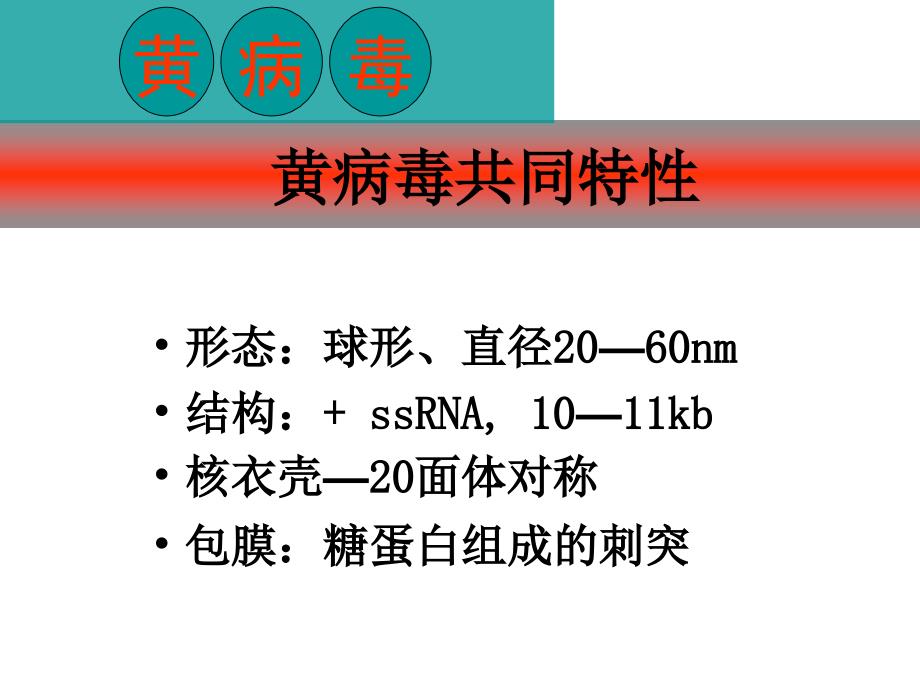 医学微生物学课件：虫媒病毒_第2页