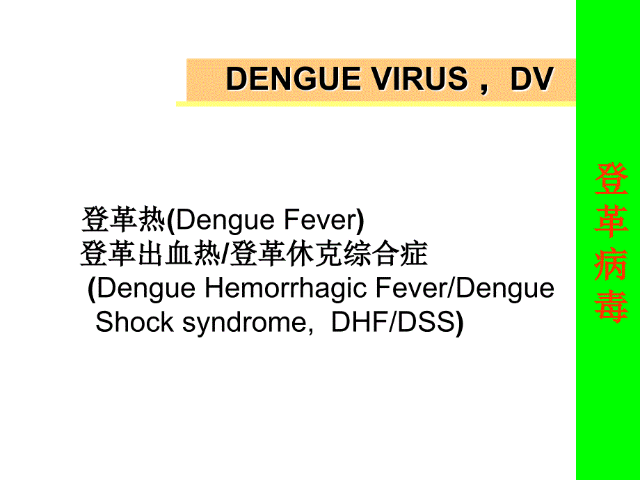 医学微生物学课件：虫媒病毒_第4页